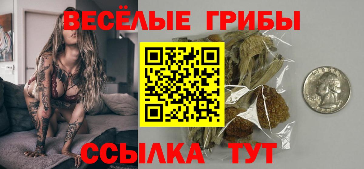 Псилоцибиновые грибы мухоморы Нефтекумск