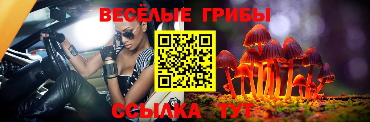 Галлюциногенные грибы Magic Shrooms  Галлюциногенные грибы прущие грибы  как найти закладки  Вход с VPN  Нефтекумск 